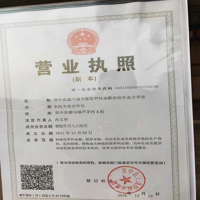 13营业执照.jpg
